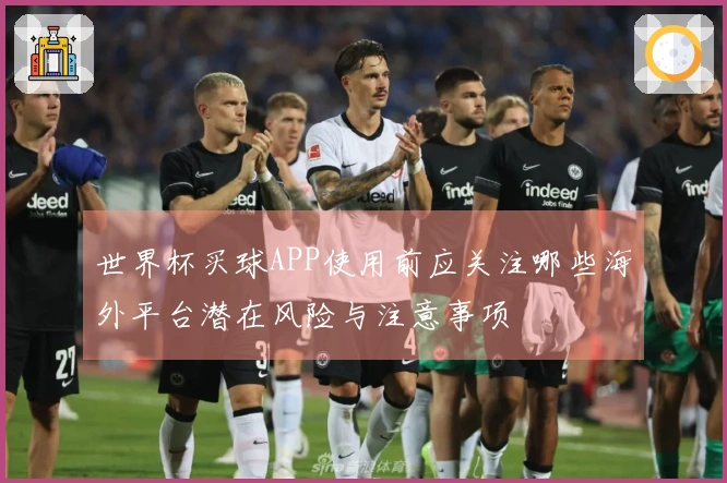 世界杯买球APP使用前应关注哪些海外平台潜在风险与注意事项