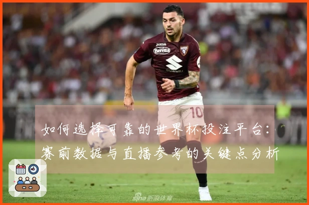 如何选择可靠的世界杯投注平台：赛前数据与直播参考的关键点分析