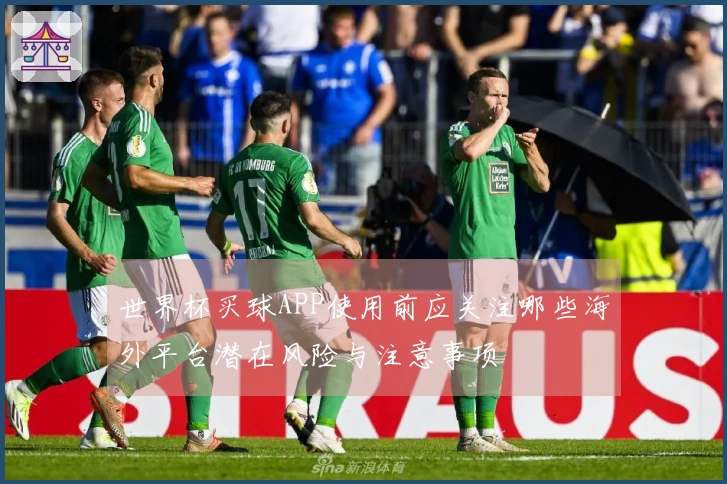 世界杯买球APP使用前应关注哪些海外平台潜在风险与注意事项