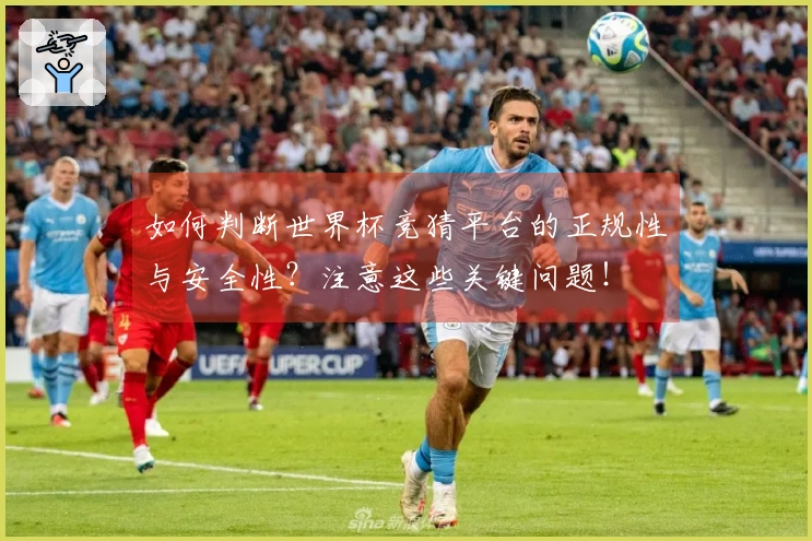 如何判断世界杯竞猜平台的正规性与安全性？注意这些关键问题！