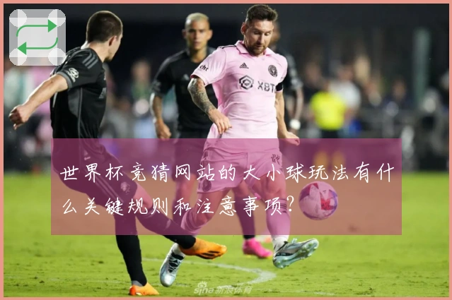世界杯竞猜网站的大小球玩法有什么关键规则和注意事项？