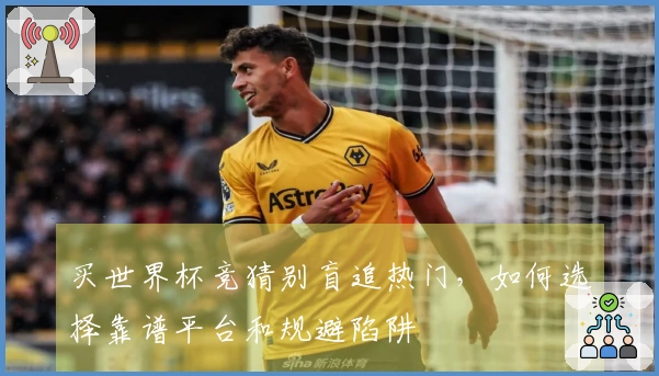 买世界杯竞猜别盲追热门，如何选择靠谱平台和规避陷阱